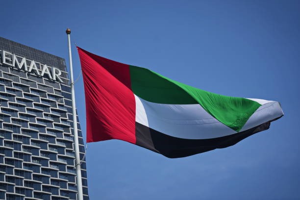 إعلان إماراتي يحرج السعودية بشأن التحالف البحري