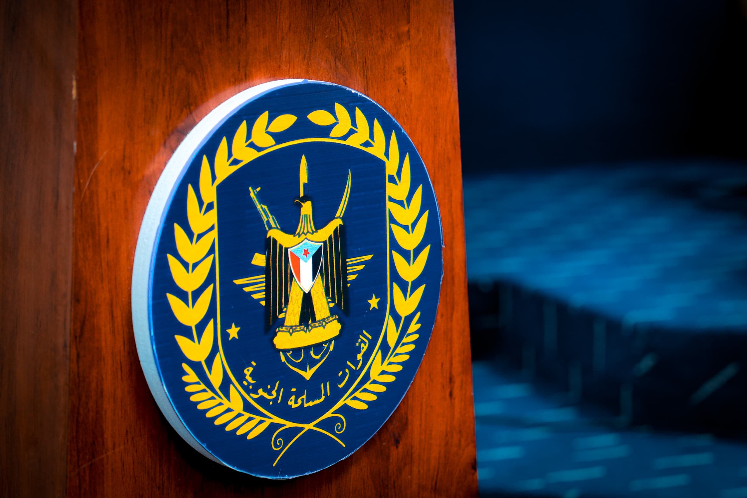 القوات الجنوبية تفضح العليمي بكشف هذه الأسرار لأول مرة وثيقة القوات الجنوبية تفضح العليمي بكشف هذه الأسرار لأول مرة وثيقة