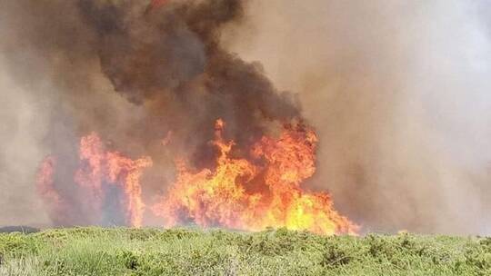 تونس الحماية المدنية تطالب بتوفير طائرة إطفاء لإخماد حريق جبل الشنانفة في ولاية زغوان