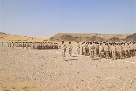 الجنوب يتبنى قوات النخبة المأربية الجنوب يتبنى قوات النخبة المأربية