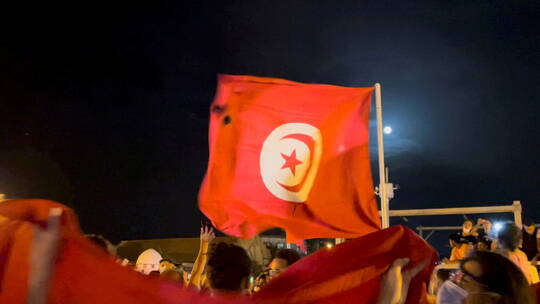 كيف توزعت مواقف الدول العربية من أحداث تونس