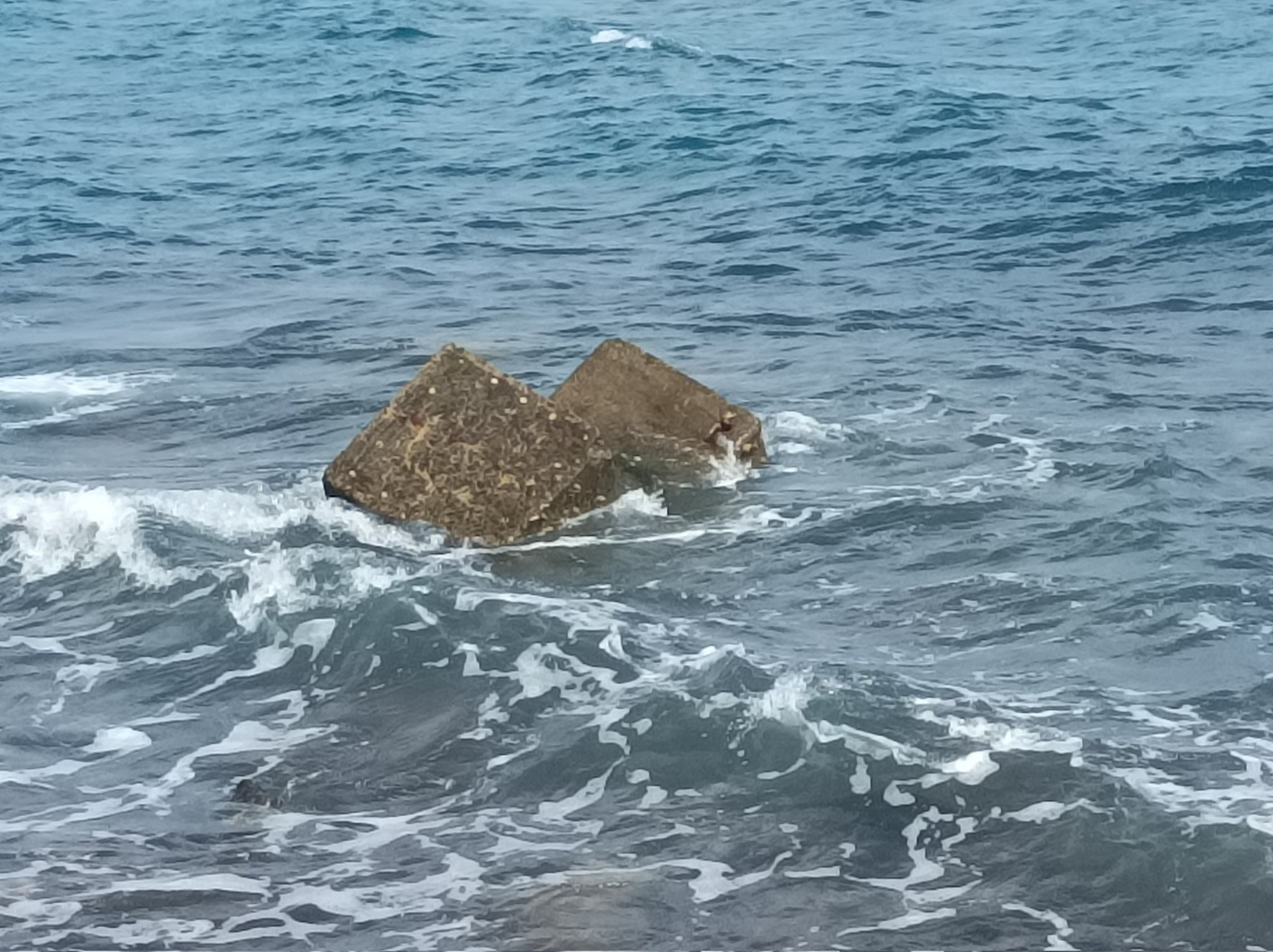 أكبر انزال بحري لقوات خارجية في عدن صور